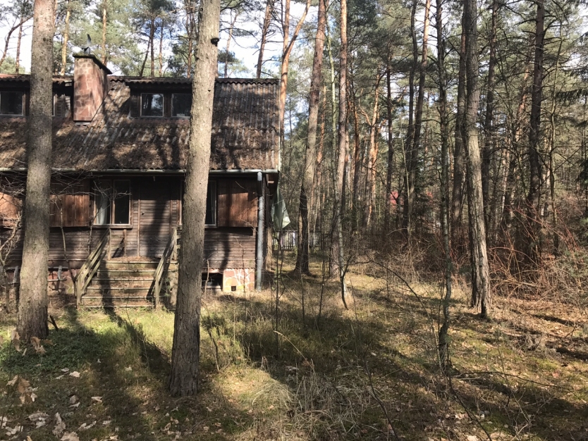 Image-10